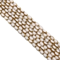 Oval white shell beads with gold metal frame for DIY jewelry making accessories - Solid Beige 4x6mm