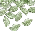 Perles feuilles en acrylique vert translucide avec veines pour création de bijoux - 10 pcs/Paquet / 11x19mm / Vert
