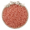 Coral pink glass seed beads for DIY jewelry making in a decorative metal tray - 3mm Hole Diameter approx 0.8mm 20g/bag approx 660pcs / South Red