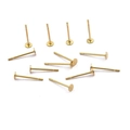 Goldfarbene Edelstahl-Ohrstecker mit flachem Kopf für die DIY-Schmuckherstellung - 3x12mm / Gold