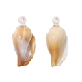 Minimalist cream shell pendants for DIY jewelry making with natural gradient finish - Sea Snail Style (Snail 6) / 15 Pieces (15x32mm) / Light Coffee