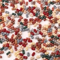 Flat multi-color glass seed beads with double holes for DIY jewelry and necklaces - Peanut Shape / 10g Pack (6x3mm) / Maillard Color Palette