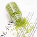 Iridescent light green glass seed beads in a clear bottle for DIY jewelry making - 2mm (54x30mm, 30g) / Light Green AB