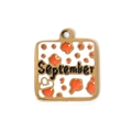 Square stainless steel September birthstone charm with orange enamel and gold frame - September Theme (TP0700-02-Sept)