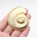 Polished KC gold nautilus seashell pendant held in hand for size visualization - KC Gold Plated