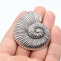 Nautilus spiral shell metal pendant in antique silver finish for DIY jewelry - Antique Silver
