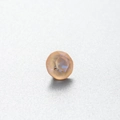 Champagnerfarbener Zirkonia Edelstein mit rundem Facettenschliff und blauen Reflexen - 6.2MM / Hellorange/Mocha (29#)