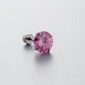 Roze zirkoon oorsteker met vierklauwzetting op zilveren roestvrijstalen basisstuk - Ronde Roze Zirkoon Stijl (A19-5#) / Enkel Stuk