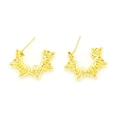 Détail macro des boucles d'oreilles étoile géométriques plaquées or 18 carats - Style Creux Rayonné (F14) / Or