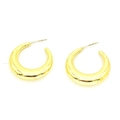 Boucles d'oreilles créoles C géométriques épaisses plaquées or 18 carats sur fond blanc - Style Forme C Épaissie (F13) / Or