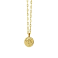 Golden Capricorn zodiac coin necklace with paperclip chain and white crystal accent - Capricorn