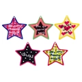 Set di 5 portachiavi a stella in acrilico colorato con frasi divertenti e motivi cartoon - Stella - Colore Casuale