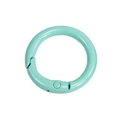 Mint green paint coated alloy round spring gate ring connector for DIY keychains - Emerald