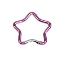 Pink star-shaped metal carabiner keychain with silver spring snap hook clip - Star / Pink