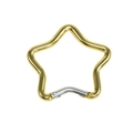 Star-shaped spring hook keychain in gold and silver finish for DIY accessories - Star / Light Gold