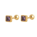 Square gold-plated earrings featuring purple zircon birthstones with secure screw back closure - February (Purple)
