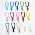Kleurrijke metalen D-ring karabijnhaak en spiraal sleutelhangers in vijftien kleuren - Karabijnhaak + Veer / Willekeurige Kleur