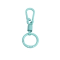 Light blue macaron spring keychain with U-shaped carabiner and smooth metal paint finish - Carabiner And Spring And Key Ring / Emerald