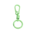 Mint green spring lobster clasp keyring with matte metal finish for DIY bag accessories - Carabiner And Spring And Key Ring / Spring Green
