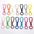 Portachiavi con anello a D in lega di zinco in 14 vari colori laccati opachi - Colore Casuale