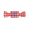 Acrylic lucky candy charm with red and white grid pattern and blue stars for DIY crafts - Lettered Red Gingham