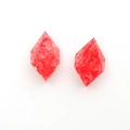Detailed macro of diamond-shaped red resin earrings with delicate dried flower petals - Red