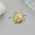 Vue détaillée d'un pendentif chef indien plaqué or 14K, dimensions 19mm x 13mm - Style Crâne de Chef Indien (h-12679)