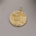 Pendentif pièce plaqué or avec relief tête de lion et pierre de zircon blanche - Style Pièce Relief Tête de Lion (H-8052)