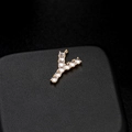Colgante letra Y de oro con circonitas micro-pavé sobre fondo de cuero negro - Letra Y Oro 14K (H-6599)