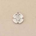 Macro shot of silver eight-pointed star pendant with cubic zirconia on beige fabric - Silver