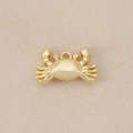Dettaglio macro di un ciondolo a forma di granchio in ottone massiccio placcato oro 18K - Oro