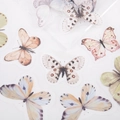 Dettaglio macro di adesivi a farfalla in PET trasparente per scrapbooking fai-da-te e decoro - Farfalla Bianca