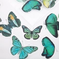 Macro di adesivi a farfalla in PET semitrasparenti con dettagli raffinati in blu e giallo - Farfalla Verde