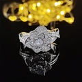Vista macro de anillo de flor de camelia con pétalos de circonita y acabado plateado - US 5 / Blanco