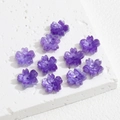 Makroansicht lila Kirschblütenperlen aus Harz mit Perlmuttglanz für DIY-Schmuckherstellung - Blau und Violett