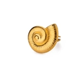 Elegante anello con conchiglia nautilus dorata e doppia fascia regolabile per gioielli mare - Anello aperto a doppia fila conchiglia (JZ6771G)