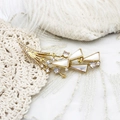 Elegant 18K gold feather brooch featuring natural mother of pearl and sparkling crystals - Bouquet Style
