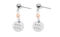 Boucles d'oreilles en acier argenté avec perles rose clair et pendentif Verseau - Verseau Argenté (EA075-23)