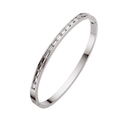 Titanium steel silver bracelet with rectangular zircon inlay and hinged clasp closure - Half Pave Zirconia Style / Steel Color + White Rhinestone (B139)