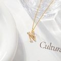 Minimalist gold necklace featuring letter N pendant with micro-inlaid zircon floral detail - Letter N