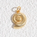 Dettaglio macro di un ciondolo a conchiglia nautilus dorata con trama a spirale - Ciondolo a Conchiglia a Spirale Radiante (DYL-4643)