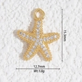 Vue macro d'un pendentif étoile de mer doré avec zircons et texture à micro-billes - Grains de Strass d'Étoile de Mer (DZ-3214)