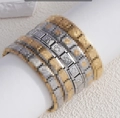 Single Piece / Silver Paw