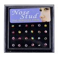 Lot de 24 piercings de nez en acier chirurgical 316L avec divers motifs graphiques colorés - Style Motifs Peints Mixtes / Goutte-à-goutte