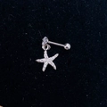 Makroaufnahme von Silber-Seestern-Ohrstecker mit funkelnden Zirkonia-Steinen für Knorpel - Stahlfarbe-Seestern