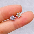 Flower-shaped stainless steel ear studs with zircon stones in gold and silver finishes - Five-Petal Flower Shape (JE1653B) / Silver