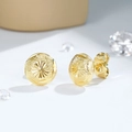 Macro di orecchini a disco placcati oro con finitura satinata e incisione a stella - Stile Disco Stella Radiale Opaco (EH950)