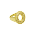 Detail van 18k vergulde ovale ring met micro-pave bezetting van zirkonia kristallen - Verstelbaar Open / Dr240914-o