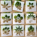 Detail of 9-piece floral stencil set showing hollow-out flower designs for DIY painting - Floral Plant Series (Set 5)
