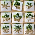 9-piece floral stencil set for DIY scrapbooking and home decor with cutout patterns - Floral Plant Series (Set 5)